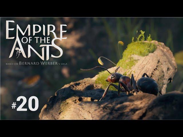 Empire Of The Ants PS5 - Part 20: Battle Of The Pinecones