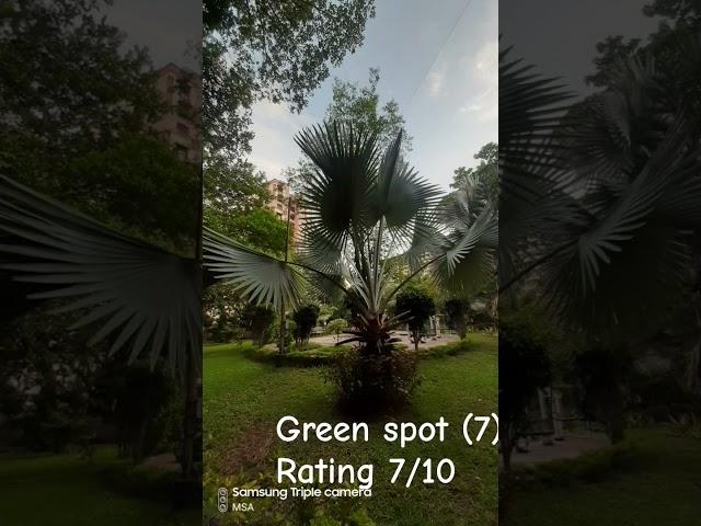 Green spot 7