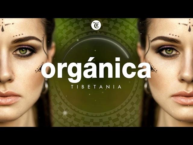 ORGANICA MIX l Finest Organic & Ethno Deep House Music by Tibetania