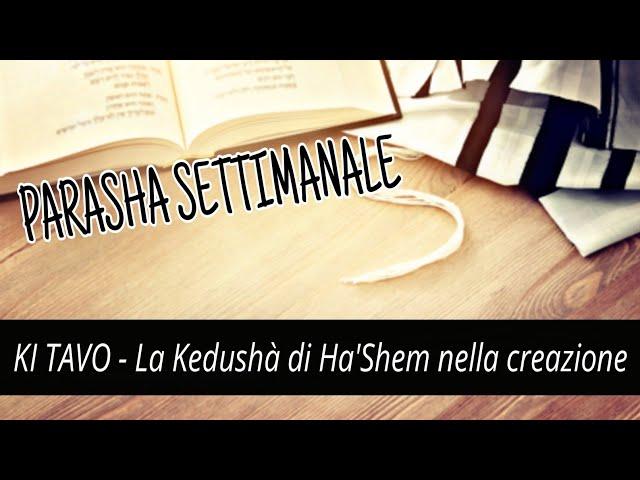 Parasha di Ki Tavo | La Kedushà di Ha'Shem nella creazione