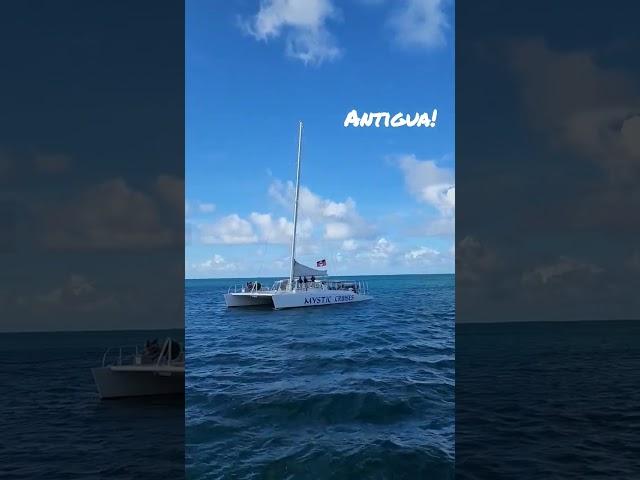 Cruising passed #MysticCruises before #sunset. #Antigua #AntiguaandBarbuda #catamarancruise #Shorts