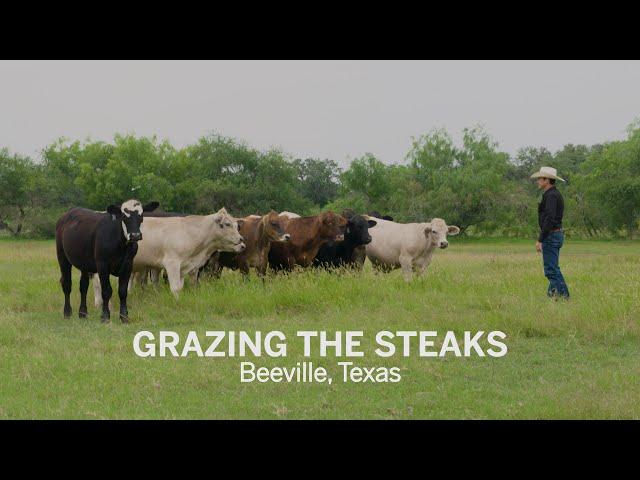 Grazing the Steaks | 'Meat' a Rancher