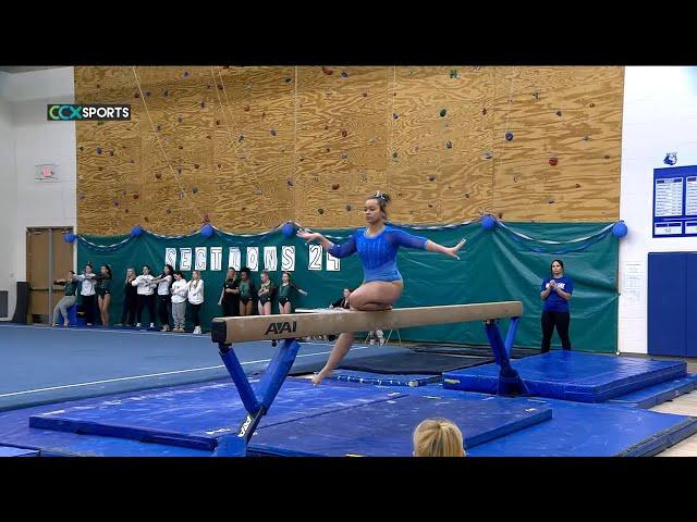 Wayzata vs. Hopkins Section 6AA Gymanstics Final