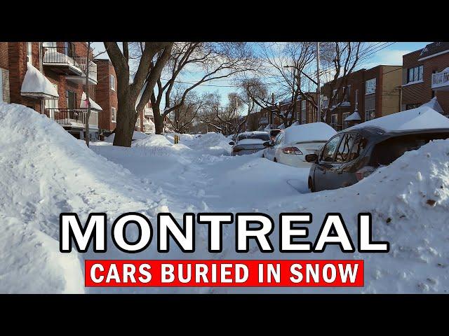 Montreal Major Winter Storm Shuts Down the City - February 2025 Snowstorm