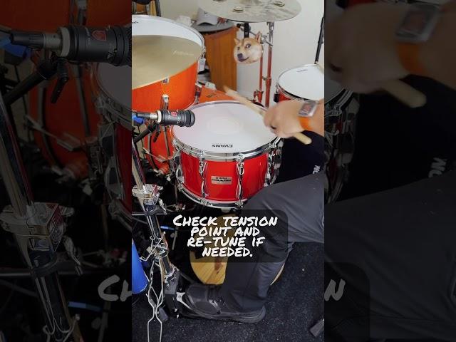 How do you get this kind of #snare #drum sound? #shorts #short #drums #sound #tune #tuning #tone