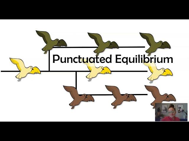 Gradualism vs Punctuated Equilibrium (AP Biology Topic 7.10)