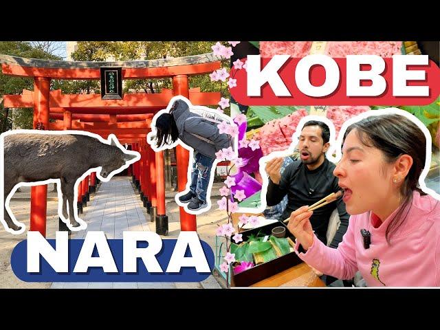 ️ Lo MEJOR qué ver y hacer en  NARA y KOBE  - Diana y Aarón