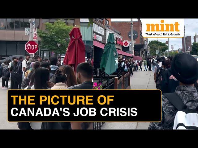 Viral Video: Canada Job Crisis | Foreign Students Lining Up At Tim Hortons For Jobs