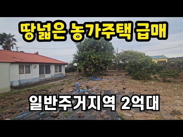 제주시 애월읍 금성리 마을안 대172평 일반주거지역 농가주택 010 4436 0401 제주도부동산 토지 매매 급매물