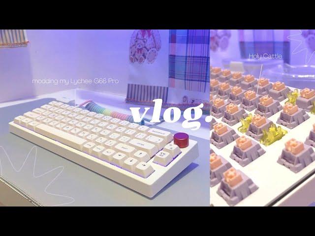 Lychee G66 Pro | newbie modding | holy cattle switches unboxing & sound test