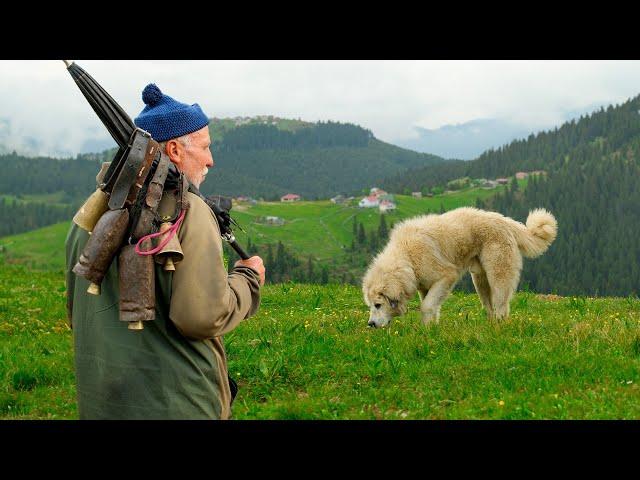 Ağasar Plateau Migration | Documentary movie