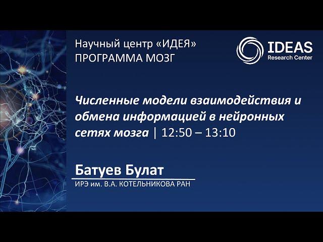 Численные модели взаимодействия и обмена информацией в нейронных сетях мозга