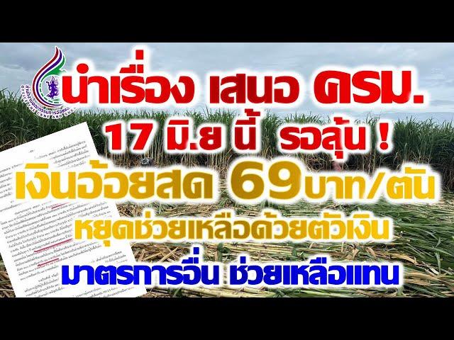 นำเรื่องเสนอ ครม. 17มิ.ย นี้ เงินอ้อยสด69บาท/ตัน หยุดช่วยเหลือด้วยตัวเงิน มาตรการอื่นช่วยเหลือแทน