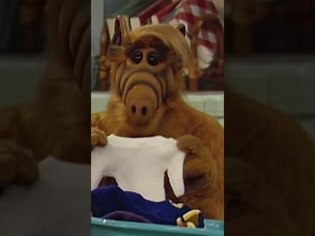 Honey, ALF shrunk the sweater! 