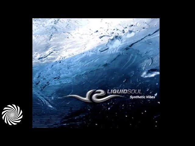 Liquid Soul - Synthetic Vibes (full album 2006)