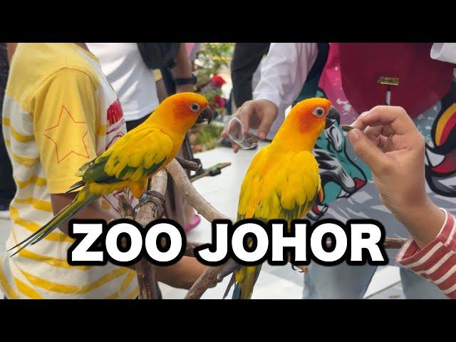 Let's Visit Zoo Johor! (4K60P)