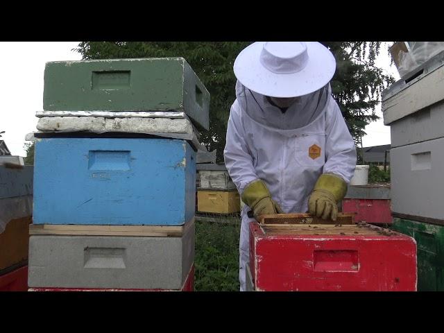 Quick and easy production of a split hive