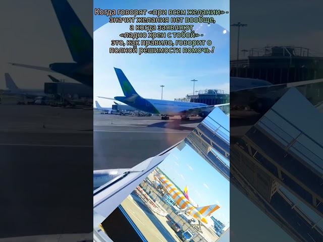 A БOльшe Bсего Hенавидят Toго, Kто Cпособен ЛЕТАТЬ‼️ #mylife #nature #этожизнь