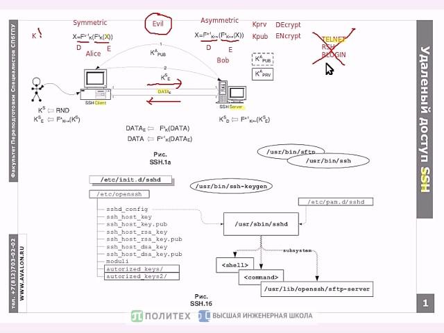 SSH: Протокол удаленного защищенного доступа