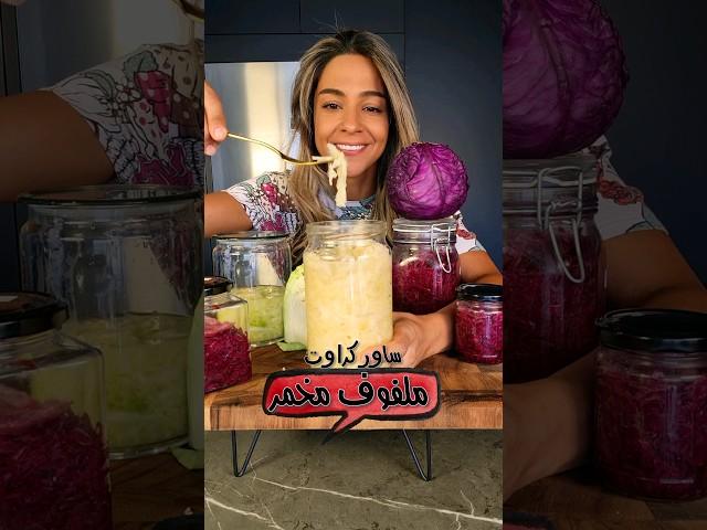 ملفوف مخمر! بكتيريا نافعة و كتير مفيد Lacto Fermented Sauerkraut