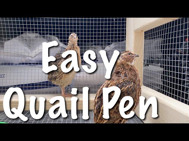 EASY QUAIL HUTCH