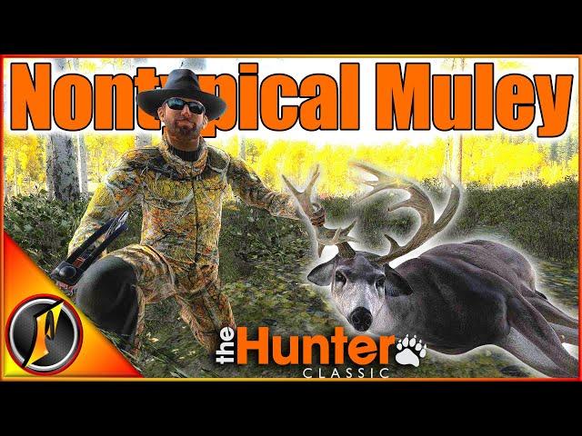 First NONTYPICAL BUCK of 2025! Timbergold Trails Hunt | theHunter Classic