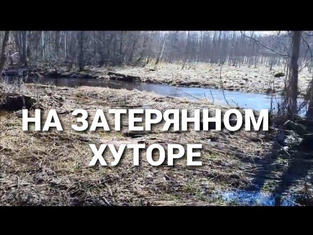 УДАЧНЫЙ КОП НА ЗАБЫТОМ ХУТОРЕ !!! ПОИСК МЕТАЛЛОДЕТЕКТОРОМ.