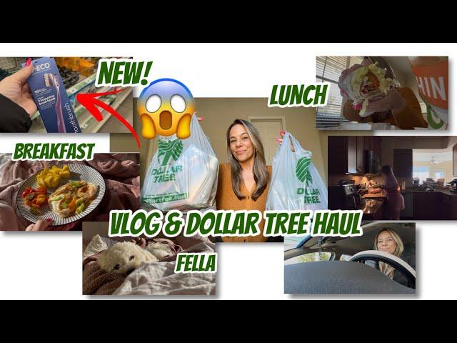 DOLLAR TREE HAUL | NEW | VLOG | COME WITH ME | BREAKFAST