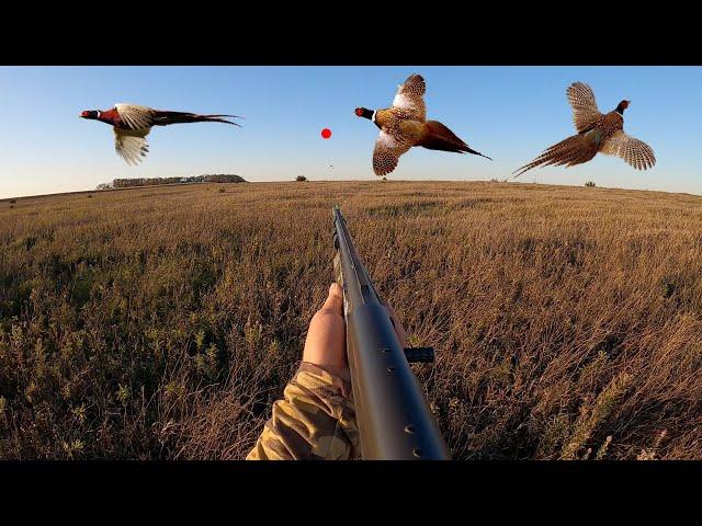 Pheasant Hunting Opening Day in South Dakota! (CATCH CLEAN COOK)