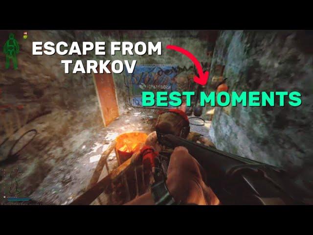 *Escape from tarkov* best twitch moments of june 2024