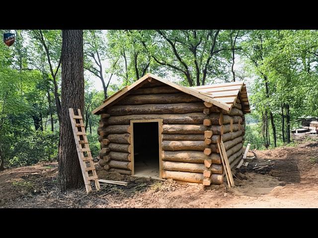 Building a Forest Hideaway – The Ultimate Wooden Home