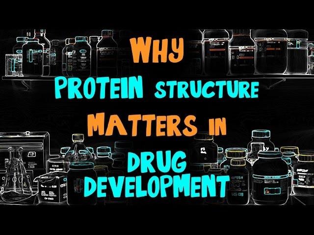 Why Protein Structure Matters in Drug Development: Lab Chat with Steven Almo, Ph.D.