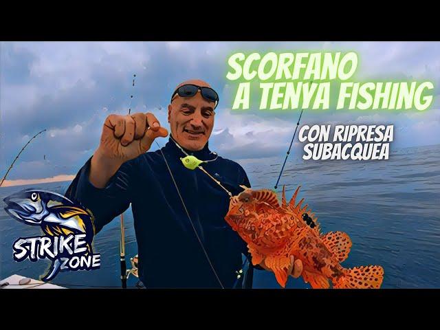 Tenya fishing, scorfano con ripresa subacquea