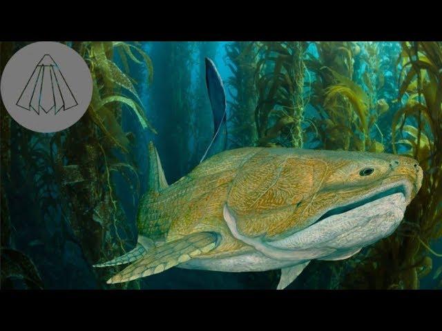 When Animals Learnt to Bite, the Evolution of the Jaw Bone