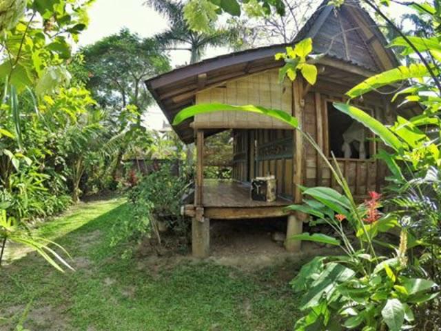 REDUCED PRICE - QUICK SALE ---- Enchanting Space - Nyuh Kuning, Ubud - Bali