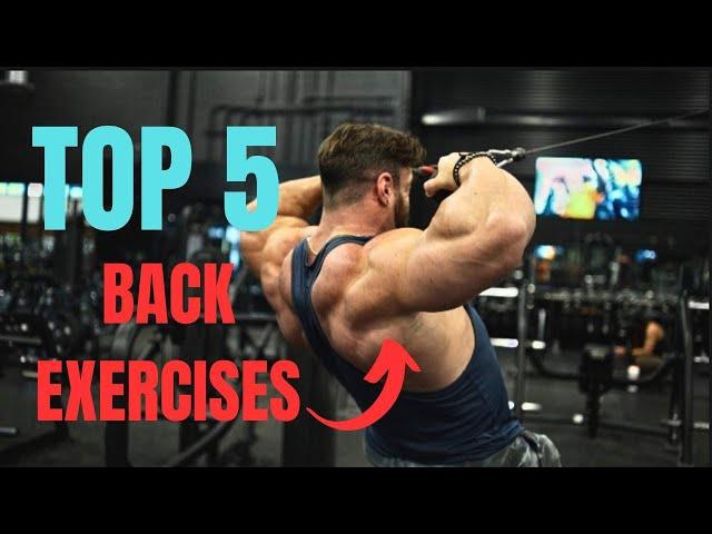 Top 5 Back Workouts For A Cobra Back