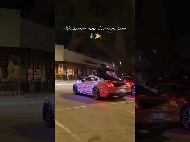 Christmas mood everywhere 