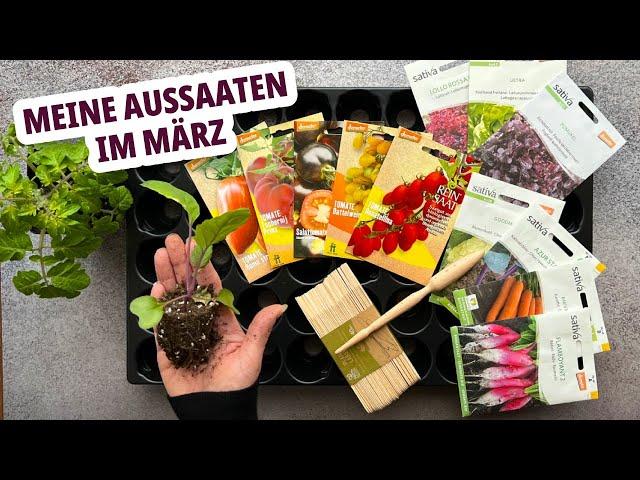 - Tomatenzauber.de | Buy seeds online