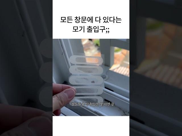 집에 모기가 들어오는 이유;; #띵품상점