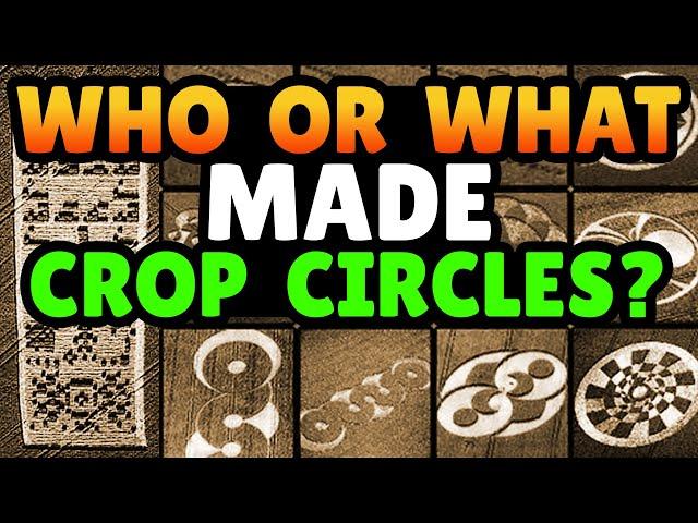 What Do Crop Circles Tell Us - Who Or What Made Them?