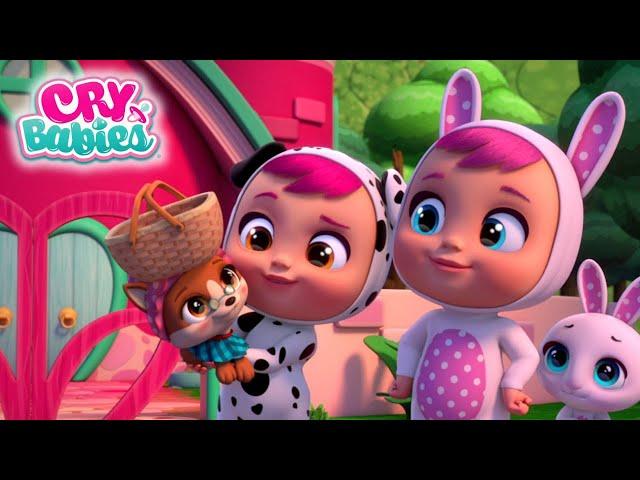 The Best Pet  CRY BABIES Full Episodes Magic Tears | Kitoons Cartoons for Kids