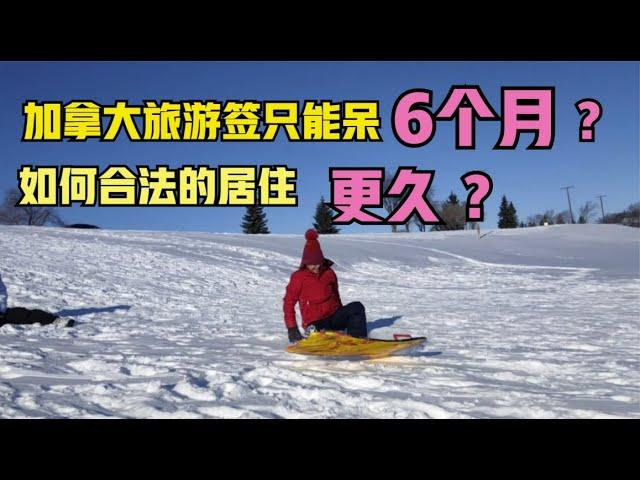 加拿大旅游签证只能呆6个月？如何合法的待更久？