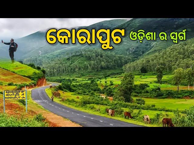 KORAPUT DISTRICT INFORMATION | KORAPUT CITY | KORAPUT ODISHA | HISTORY OF KORAPUT | KORAPUT