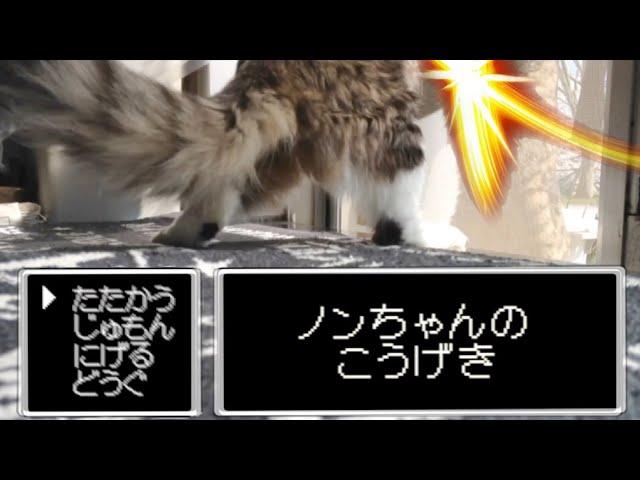 【猫動画】猫の喧嘩をドラクエバトル風にしてみた