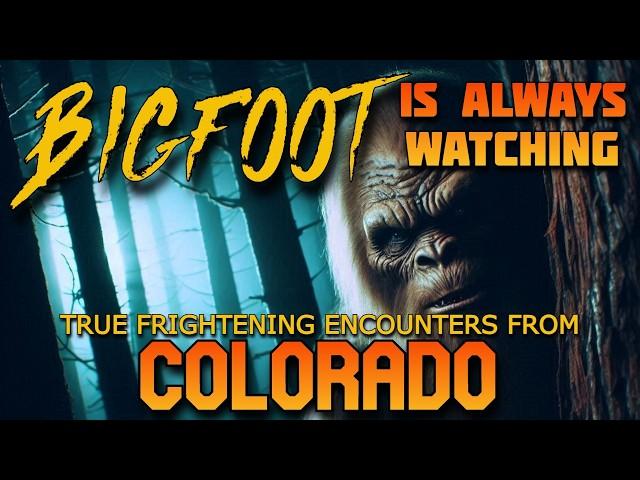 BIGFOOT IS ALWAYS WATCHING FROM THE SHADOWS -  TRUE FRIGHTENING ENCOUNTERS FROM COLORADO