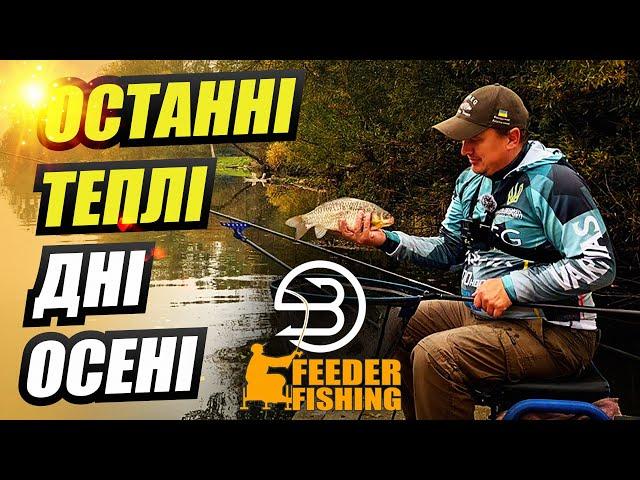 Осіні Річкові бонуси #fishing