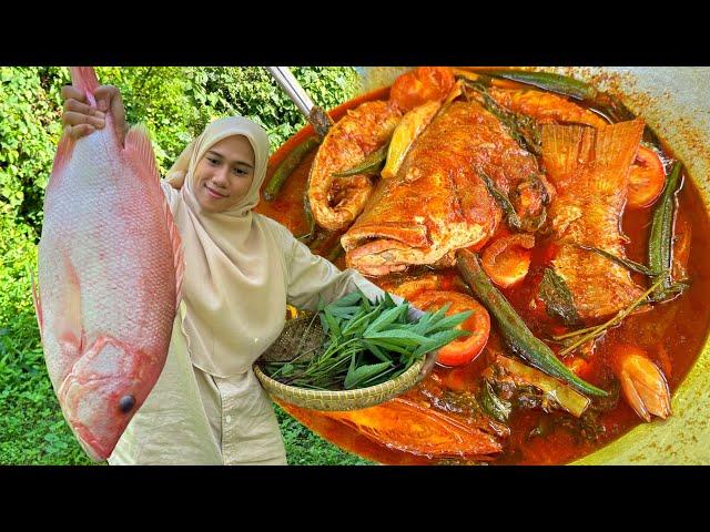 ASAM PEDAS IKAN MERAH SURR !