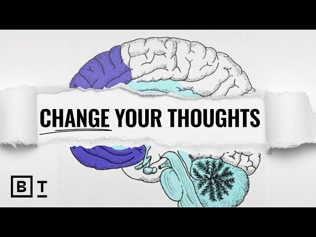 A neuroscientist’s guide to reclaiming your brain | Nicole Vignola