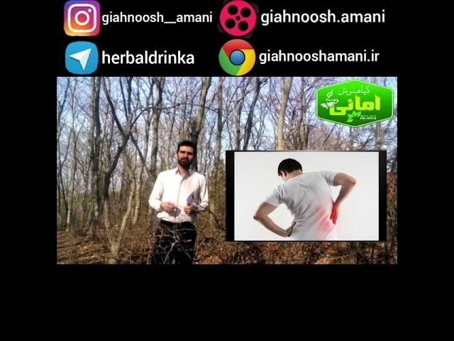 خواص گیاه آویشن