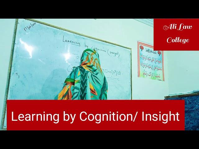 Learning by Cognition / Insight